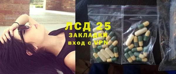 шишки Алзамай